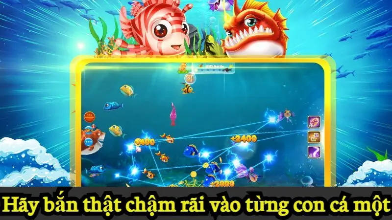 Hãy bắn thật chậm rãi vào từng con cá một