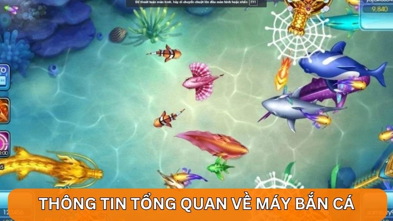 Khám phá thông tin tổng quan về máy bắn cá